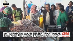 VIDEO: Ayam Potong Wajib Bersertifikat Halal Mulai Oktober