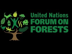 Wajah Komitmen Hijau Indonesia Akan Ditunjukkan di Forum Hutan PBB