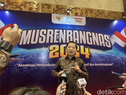 Kepala Bappenas: Hak Milik Tanah di IKN Sangat Dimungkinkan dan Dibolehkan