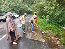 Puluhan Ekor Ular Sanca Dilepasliarkan di Kawasan Bromo Semeru