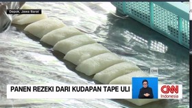 VIDEO: Sehari Menjadi Produsen Tape Uli Cisalak