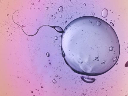 Mengenal Gamet, Sel Kelamin yang Dibentuk untuk Reproduksi