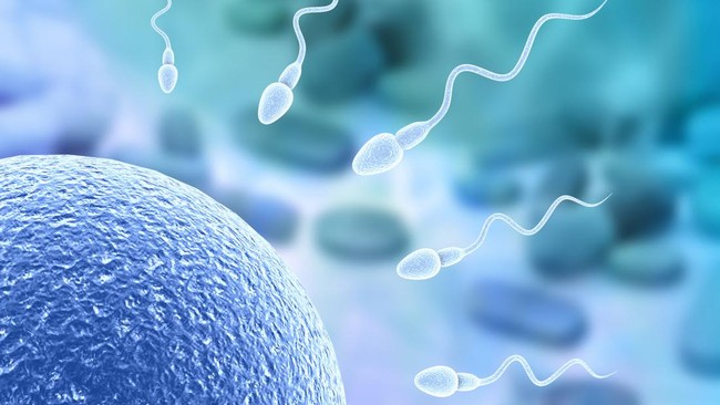 Silver guruhining Xxx fotosuratlari