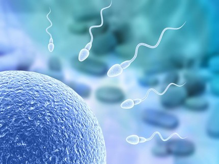 Cairan Sperma Mengandung Banyak Kalori dan Protein, Apa Pengaruhnya pada Promil?