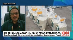 VIDEO: Impor Beras Jalan Terus di Masa Panen Raya