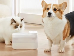 Xiaomi Luncurkan Dispenser Untuk Hewan Peliharan
