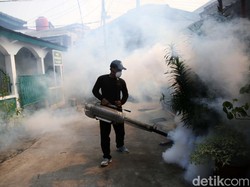 Kasus DBD di Indonesia Melonjak, Terbanyak dari Jabar