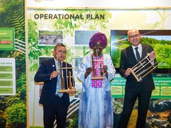 Bayi Badak dan Narasi Capaian Hutan RI di Markas PBB