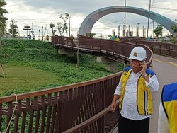 Basuki Ungkap Biang Kerok Pembangunan IKN Terhambat