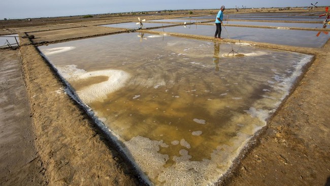Pemerintah tengah menyiapkan pembangunan sentra industri garam seluas 10.764 hektare di Pulau Rote, Kabupaten Rote Ndao, NTT.
