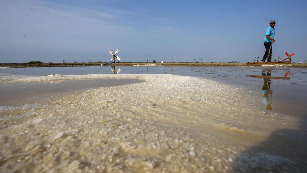 KKP Tawarkan Swasta Garap 10 Ribu Ha Tambak Garam di Rote Ndao NTT