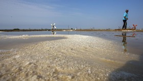 Tambak Garam di 8 Kabupaten Aceh Terdampak Banjir