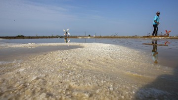 KKP Tawarkan Swasta Garap 10 Ribu Ha Tambak Garam di Rote Ndao NTT