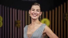 Rosamund Pike Gabung Proyek Film Now You See Me 3