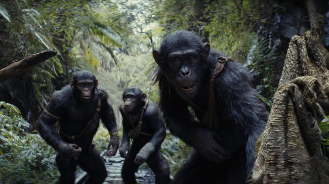 Berikut penjelasan 5 karakter penting Kingdom of the Planet of the Apes yang dibintangi Owen Teague hingga Kevin Durand.