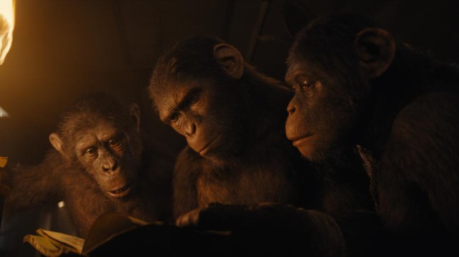 Review film: Kingdom of the Planet of the Apes berhasil menjadi awal menjanjikan bagi waralaba yang tengah merintis era baru.