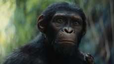 Produser Singgung Nasib Sekuel Usai Kingdom of the Planet of the Apes