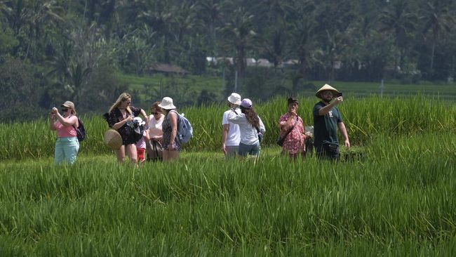 Situs ekspatriat, expatexchange dan Digital Nomad Exchange, telah memberikan panduan penting bagi wisatawan mancanegara yang ingin berlibur ke Indonesia.
