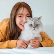 Cat Lovers Merapat! Ini Dia 4 Rekomendasi Serial dan Film tentang Kucing di Netflix