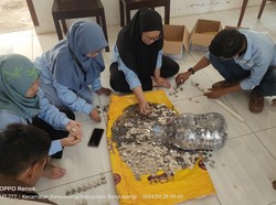 Butuh Waktu Segini Hitung 4 Galon Koin Penjual Martabak untuk Beli Rumah