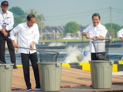 Tambak Ikan Nila Salin Siap Jadi Lokomotif Industrialisasi di RI