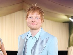 Ed Sheeran Punya Misi Mulia Kembalikan Hutan di Inggris