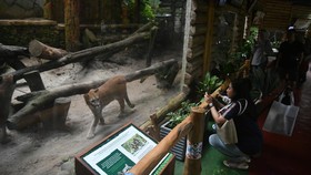 5 Larangan Saat Berkunjung ke Taman Safari, Jangan Sampai Diblacklist