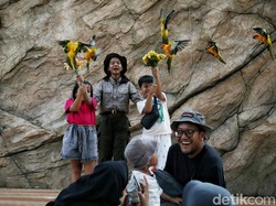 7 Rekomendasi Wisata Edukasi Anak Bernuansa Alam untuk Akhir Pekan