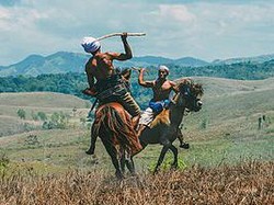 Tradisi Pasola di Sumba Barat, Sejarah hingga Waktu Pelaksanaan