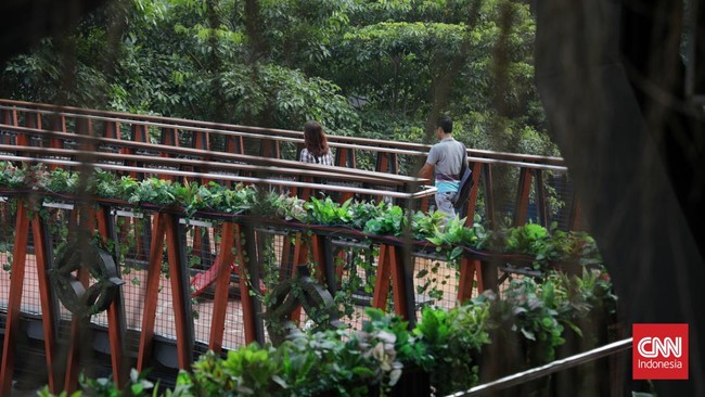 FOTO: Menembus 'Hutan Belantara' di JPO Phinisi Sudirman