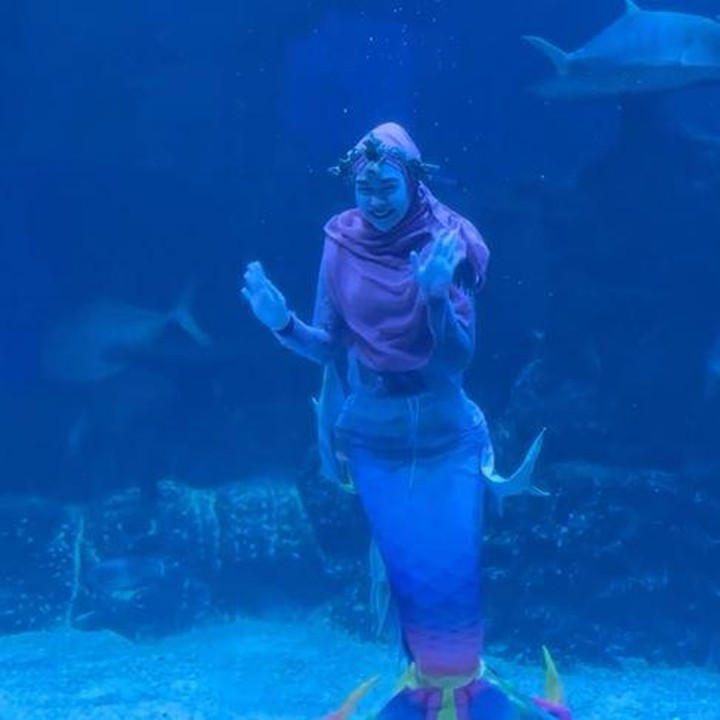 <p>Ricis terlihat menyapa para pengunjung yang datang ke Jakarta Aquarium. Ia juga sempat membuat simbol 'cinta' dengan kedua tangannya saat menyelam. Tak lupa, perempuan 28 tahun ini menebar senyum ceria. Perlu diketahui ya, Ricis memang punya hobi menyelam, Bunda. (Foto: Instagram @riaricis1795)</p>