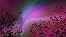 FOTO: Penampakan Cantik Aurora di Sejumlah Negara Imbas Badai Matahari