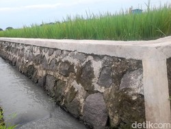 Anggota DPRD Jatim Diperiksa Polisi Terkait Dugaan Korupsi Dana Aspirasi