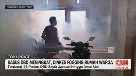 VIDEO: Kasus DBD Meningkat, Dinkes Fogging Rumah Warga