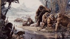 Cerita Gigantopithecus Blacki, Kera Terbesar yang Pernah Huni Bumi