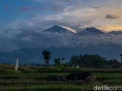 Pendakian Gunung Arjuno Kembali Dibuka, Simak Jam Buka-Harga Tiket Masuk