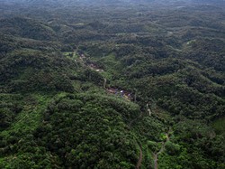 Peta Pulau Kalimantan: Batas Wilayah dan Kondisi Geografis