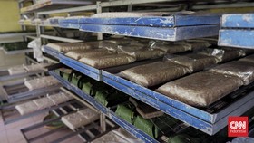 Aktivitas di sentra produksi tahu tempe Industri Kecil Menengah (IKM) di Gang Sonton, Tanjung Barat, Jakarta Selatan, Senin (13/5/2024). (CNN Indonesia/Ramadhan Nur Fadillah)