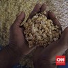 Daftar Barang Turun Harga Usai AS Kena Tarif 0 Persen, iPhone Masuk?