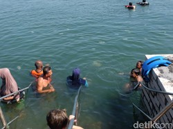 Jutaan Ubur-ubur Menyerbu Pantai Probolinggo, Warlok Renang dengan Santuy