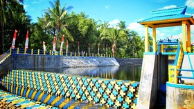 Tepat Guna, Indonesia Ungkap Teknologi Bendung Modular di WWF ke-10