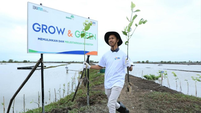 Portofolio sustainable financing BRI mencapai Rp787,9 triliun, setara 66,2 persen dari total kredit yang disalurkan & portofolio investasi government bond BRI.