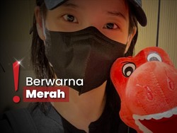 Kado Spesial Boneka Naga Untuk IU Dipeluk dan Dibawa ke Korea Selatan