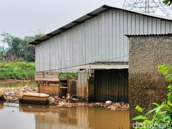 Melihat dari Dekat Kota Mati di Depok Usai Direndam Banjir Abadi