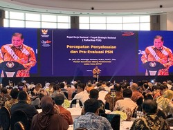 Jumbo! 73.094 Ha Lahan Hutan Diizinkan buat Proyek Strategis Jokowi