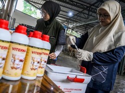 Kementan Gelontorkan Vaksin Antisipasi Kasus PMK Sapi