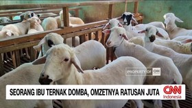 VIDEO: Seorang Ibu Ternak Domba, Omzetnya Ratusan Juta