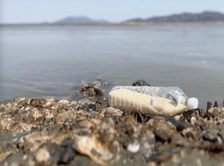 Kisah Pembelot Korut Kirim Beras dalam Botol untuk Rekan Senegaranya