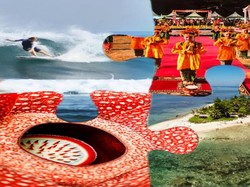 Tentang Kota Bengkulu, Bumi Rafflesia Tempat Pengasingan Bung Karno