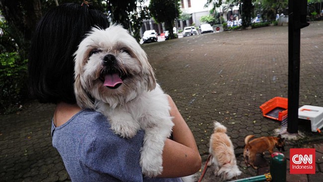 5 Tempat Wisata Pet-Friendly di Jakarta, Bisa Ajak Anabul Jalan-jalan
